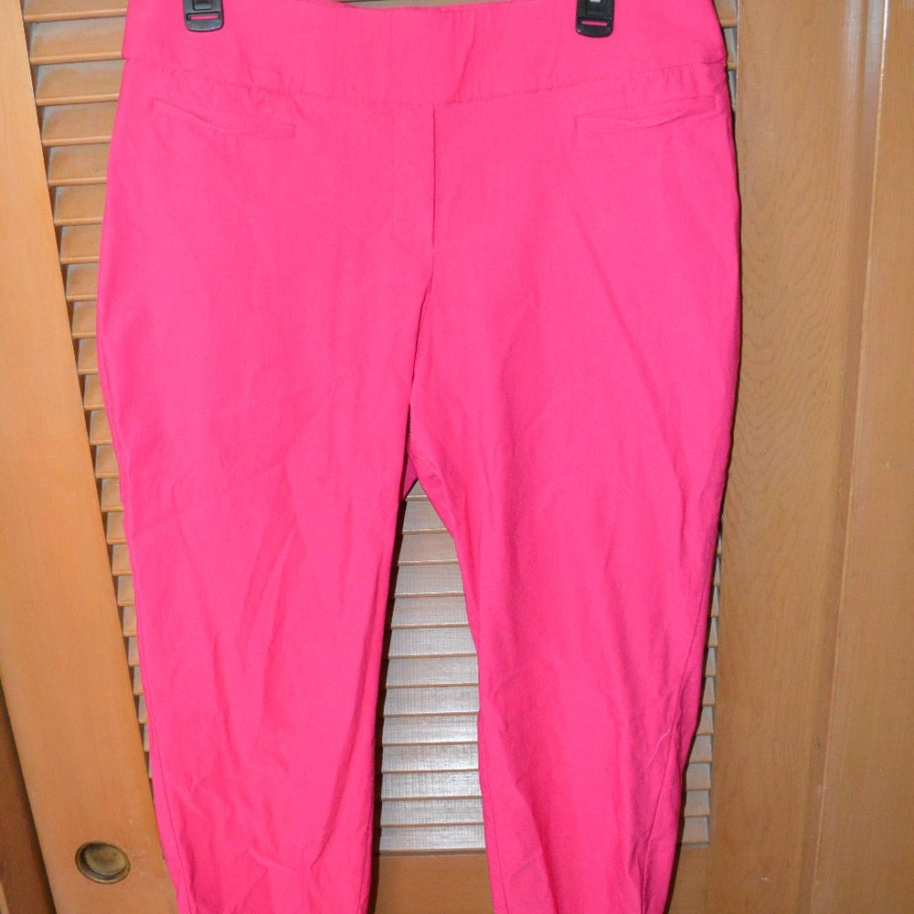 Apt. 9 Brynn Size 16 Hot Pink Business Pants